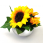 Preview: Fibula[Style]® Komplettset "Sunflower"