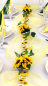 Preview: Fibula[Style]® Komplettset "Sunflower"